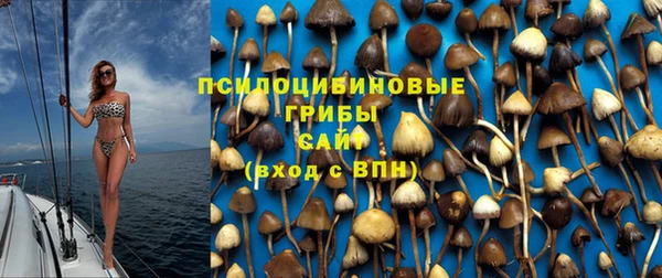 Альфа ПВП Баксан