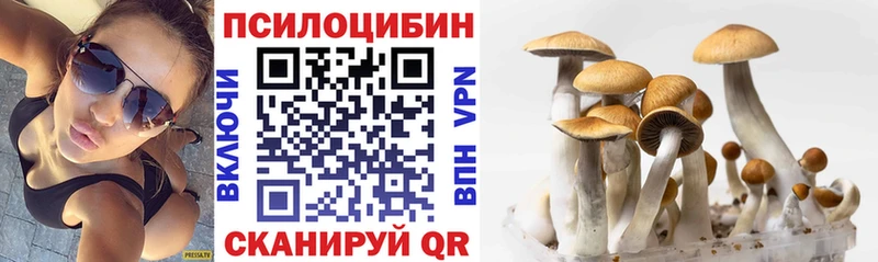Псилоцибиновые грибы MAGIC MUSHROOMS Лесосибирск